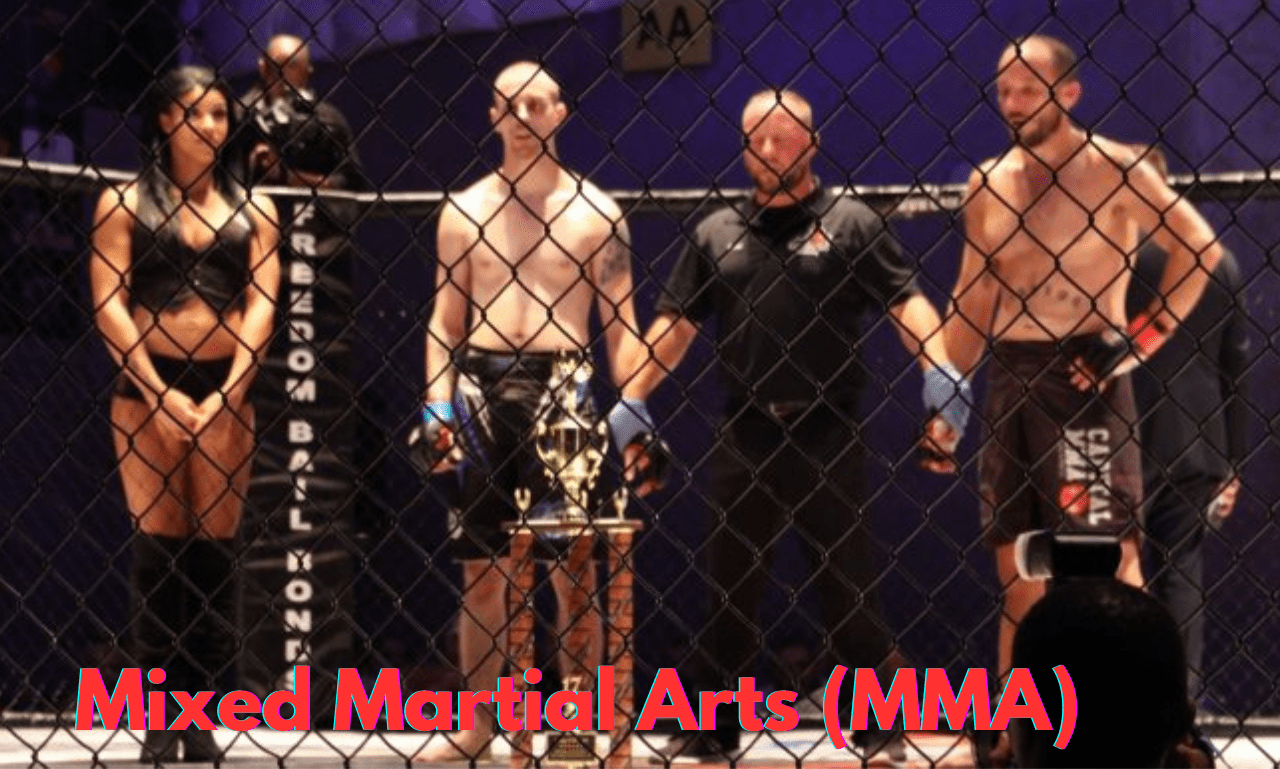 Mixed Martial Arts